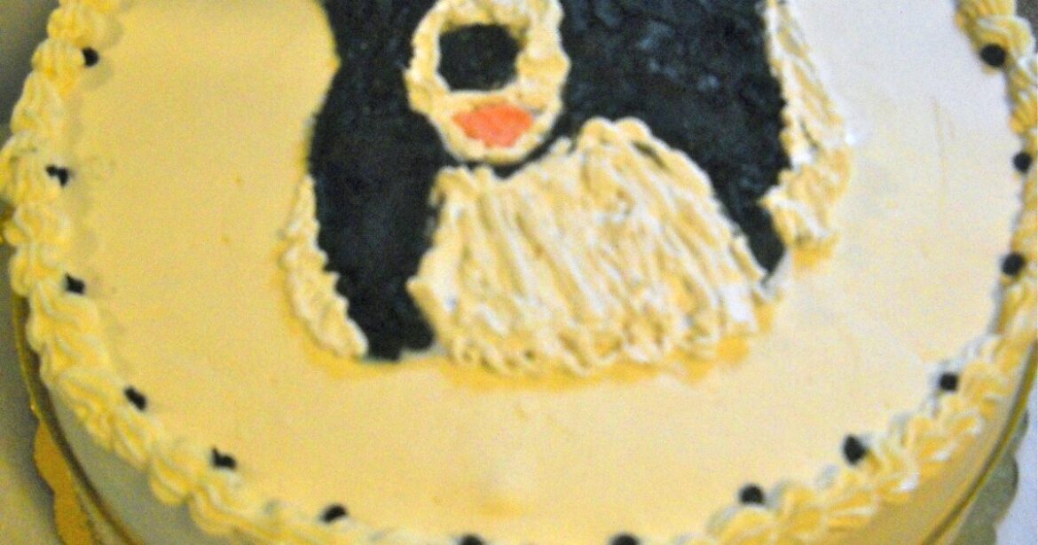 Dick Stein's Sis Shares Her Cake-spertise And Recipe For Italian Meringue Buttercream