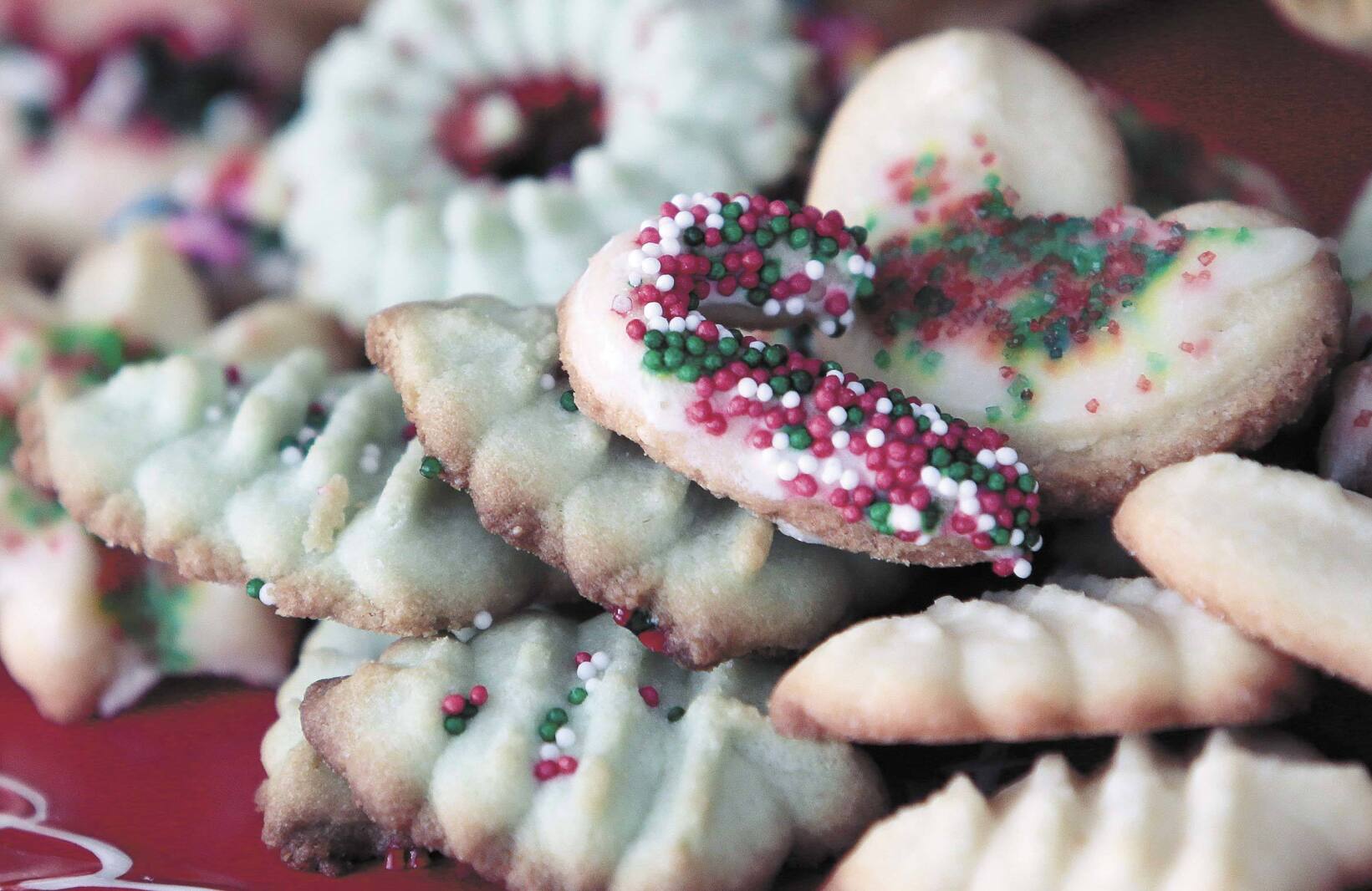 Lost Italian: It's a spritz decision: 12-year-old's submission wins ...