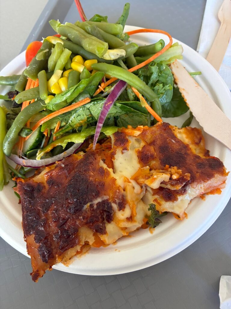 Vegetarian veg lasagna. No lentils or meat subs just veg sauce. 750?