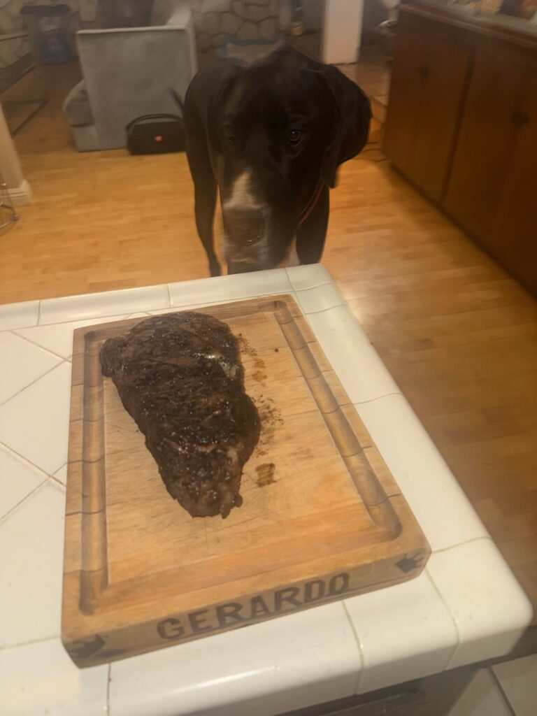 Prime rib eye a dollop of caviar and Maximus eye balling the steak.