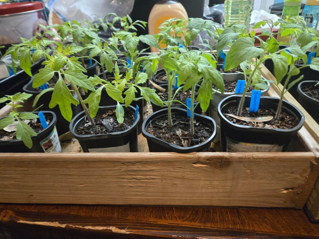 Too Big to Separate?