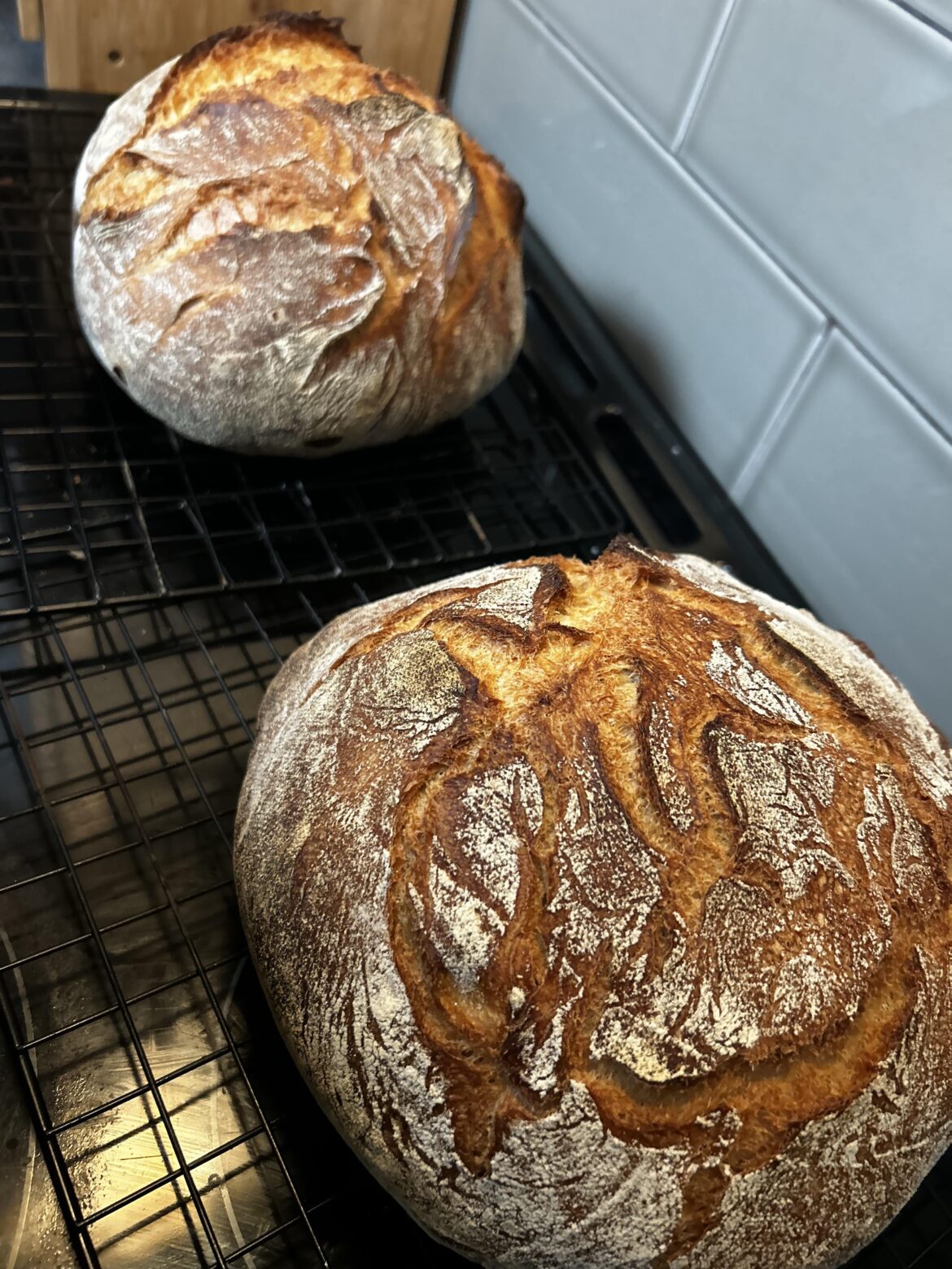 First loaves after a hiatus