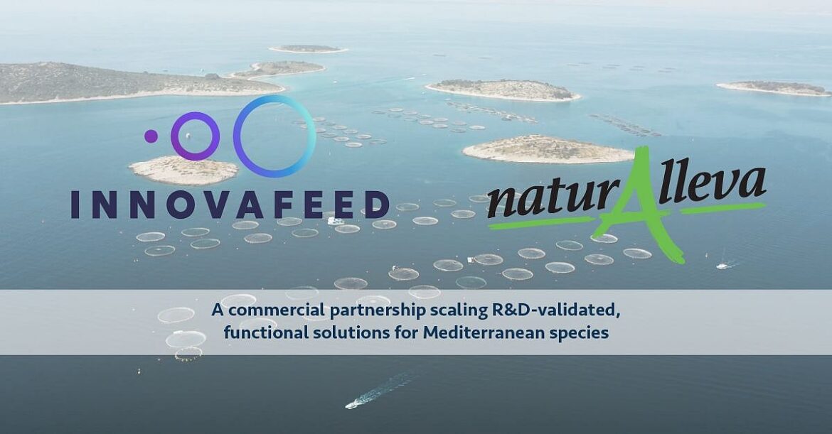 NaturAlleva and Innovafeed bet on insect-based ingredients
