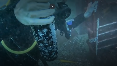 Why divers in Chile are putting wine bottles under the ocean in locked cages