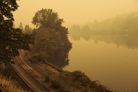 One Winery Turned Smoke-Damaged Grapes Into Barbecue Sauce