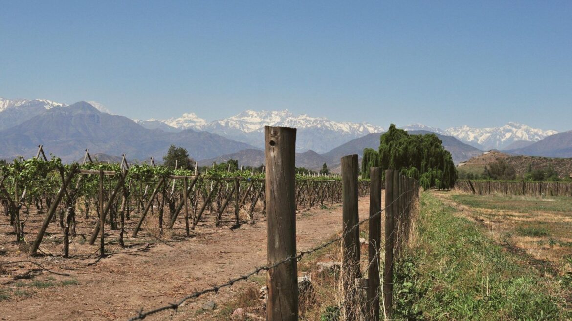 A Journey Through Chile’s Most Compelling Vineyards