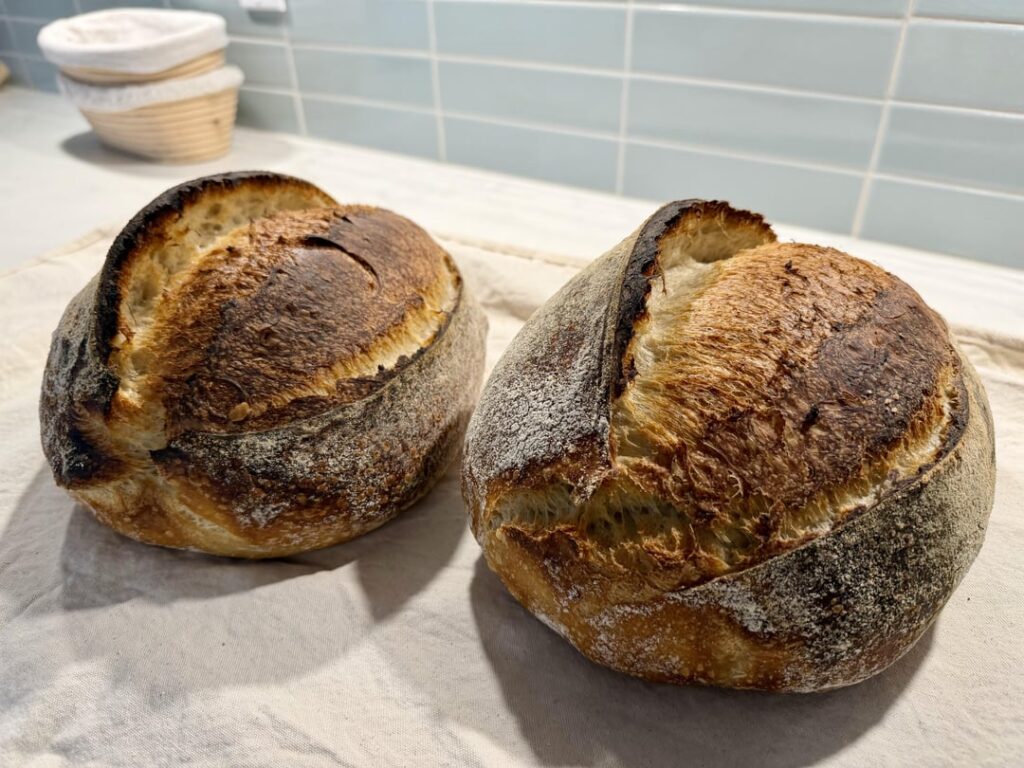 10% emmer, no cold proof 🌾