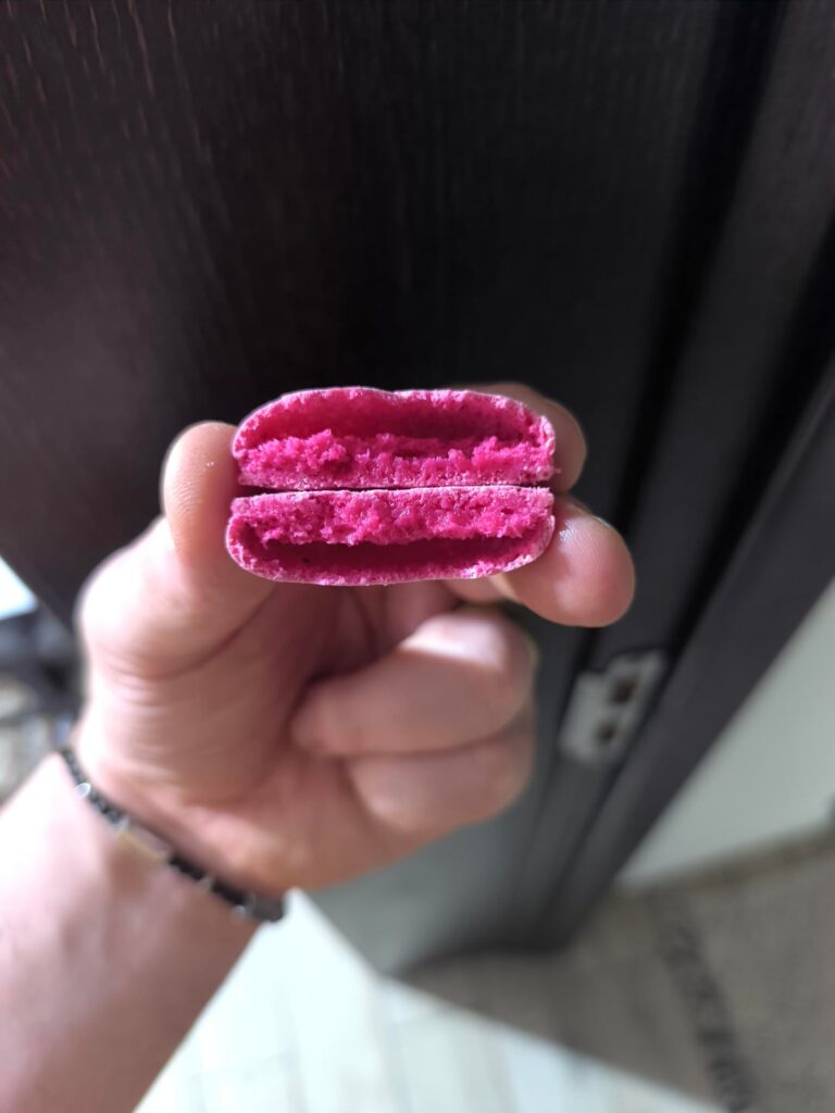 Hallow shells Hallow shells