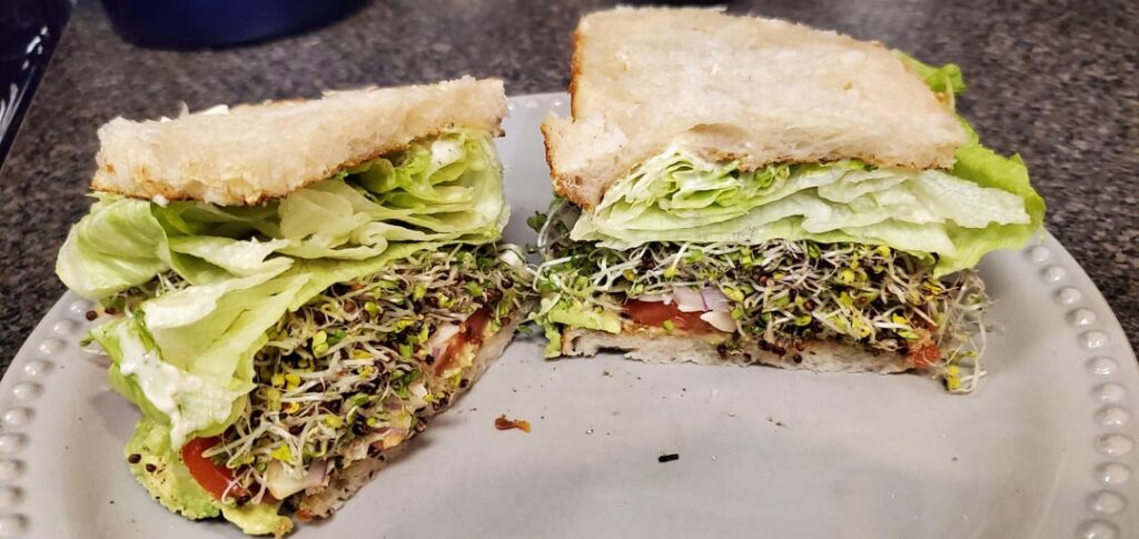 Big Ole veggie sandwich on sourdough