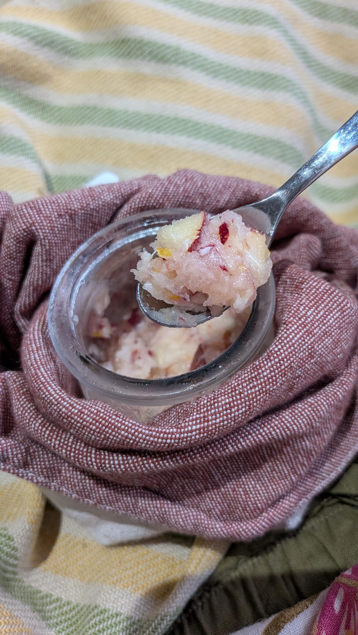 Peach-lemon sorbet: 10/10, no notes.