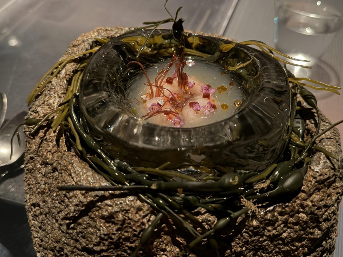 11 course. 0 plates.