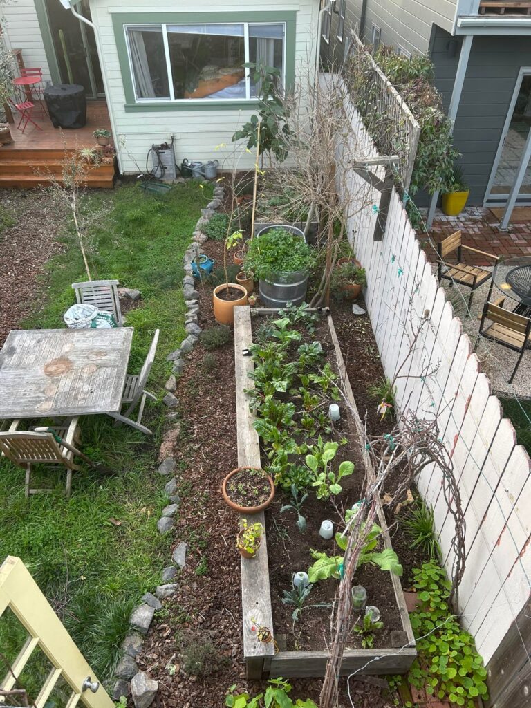 Berkeley CA Jan 17,2026.