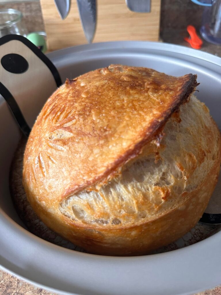 First loaf ever! Looking for feedback First loaf ever! Looking for feedback