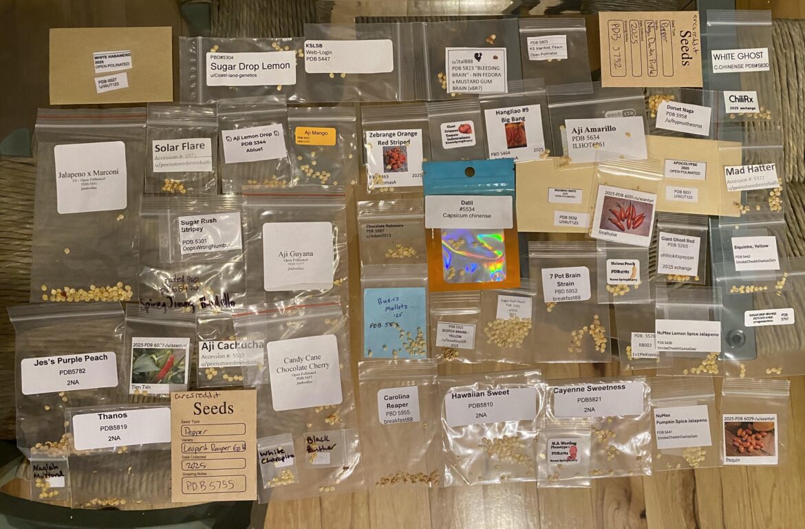 2025 Seed Swap (& Happy New Year)!
