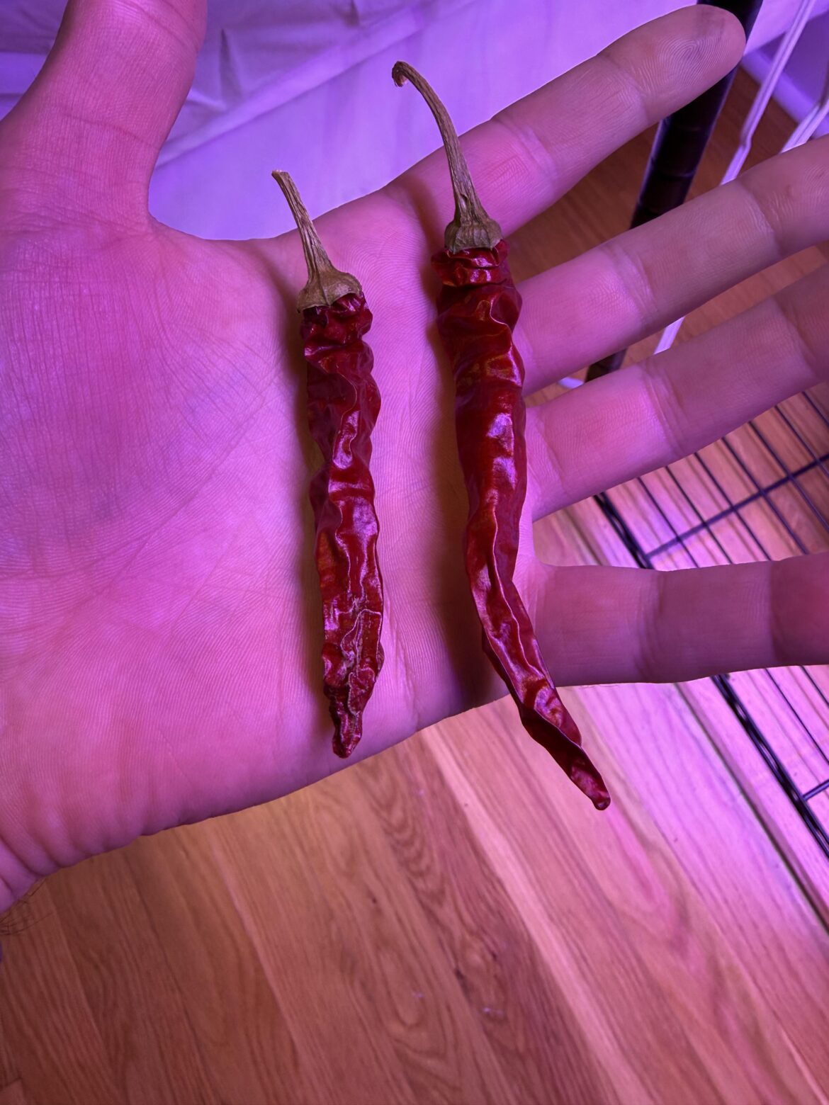 Air dried pepper question