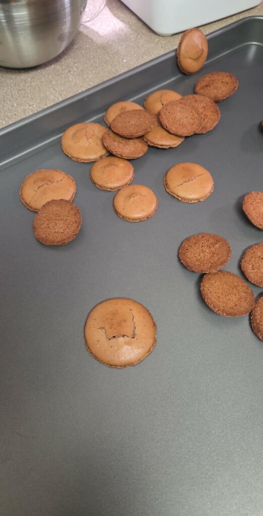 First timer. What went wrong?