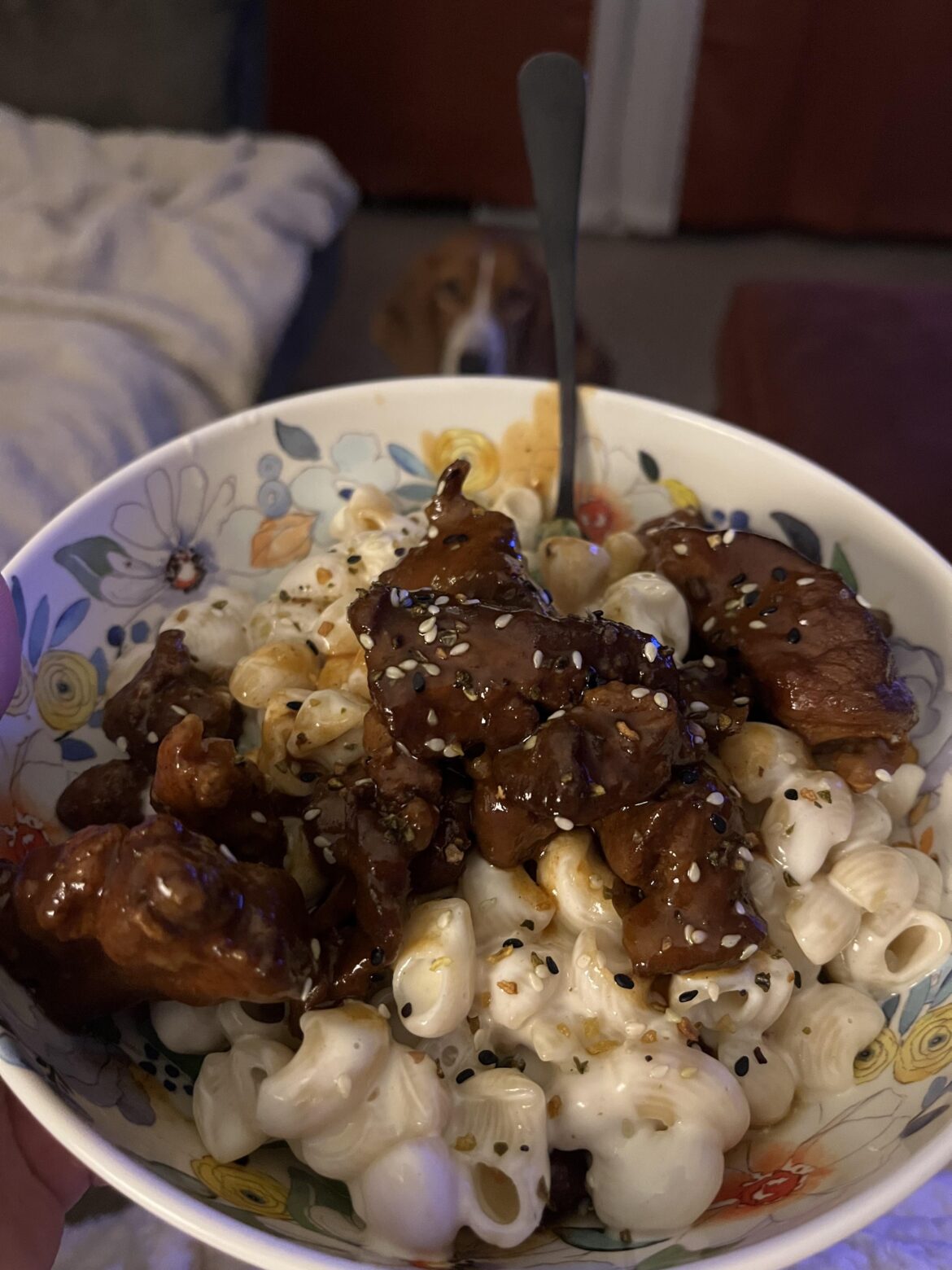 Burnt ends, smoked Gouda mac, some green beans at da bottom, and everything bagel with jalapeño to top.