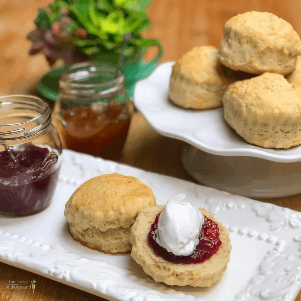 Easy Vegan Scones 🌳 A simple recipe for making classic tea-time scones.