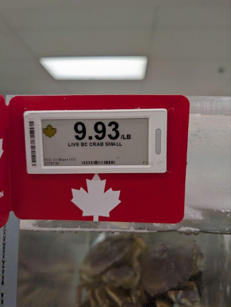 Dungeness is in season!