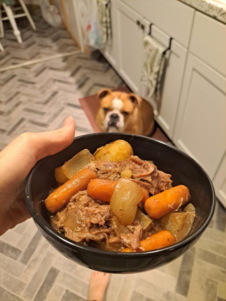Pot roast and my doggo