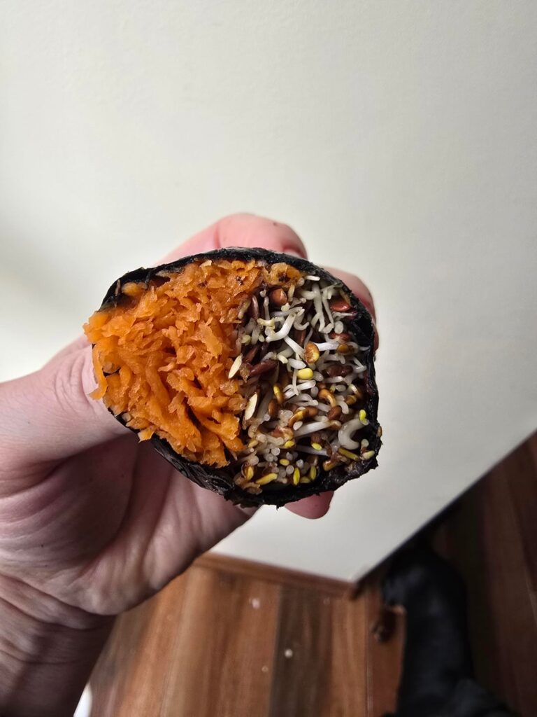Sprouted seed & carrot nori wrap : no rice, no fish