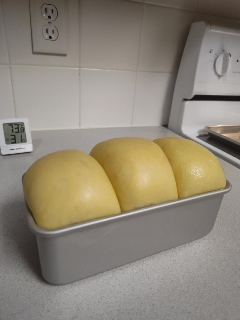 My first brioche loaf!