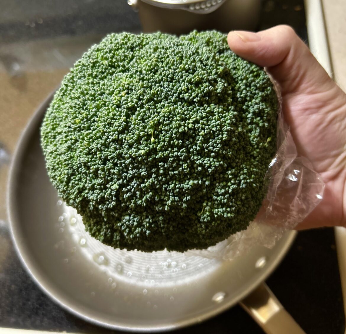 I just gotta say... That's a gorgeous head of broccoli.