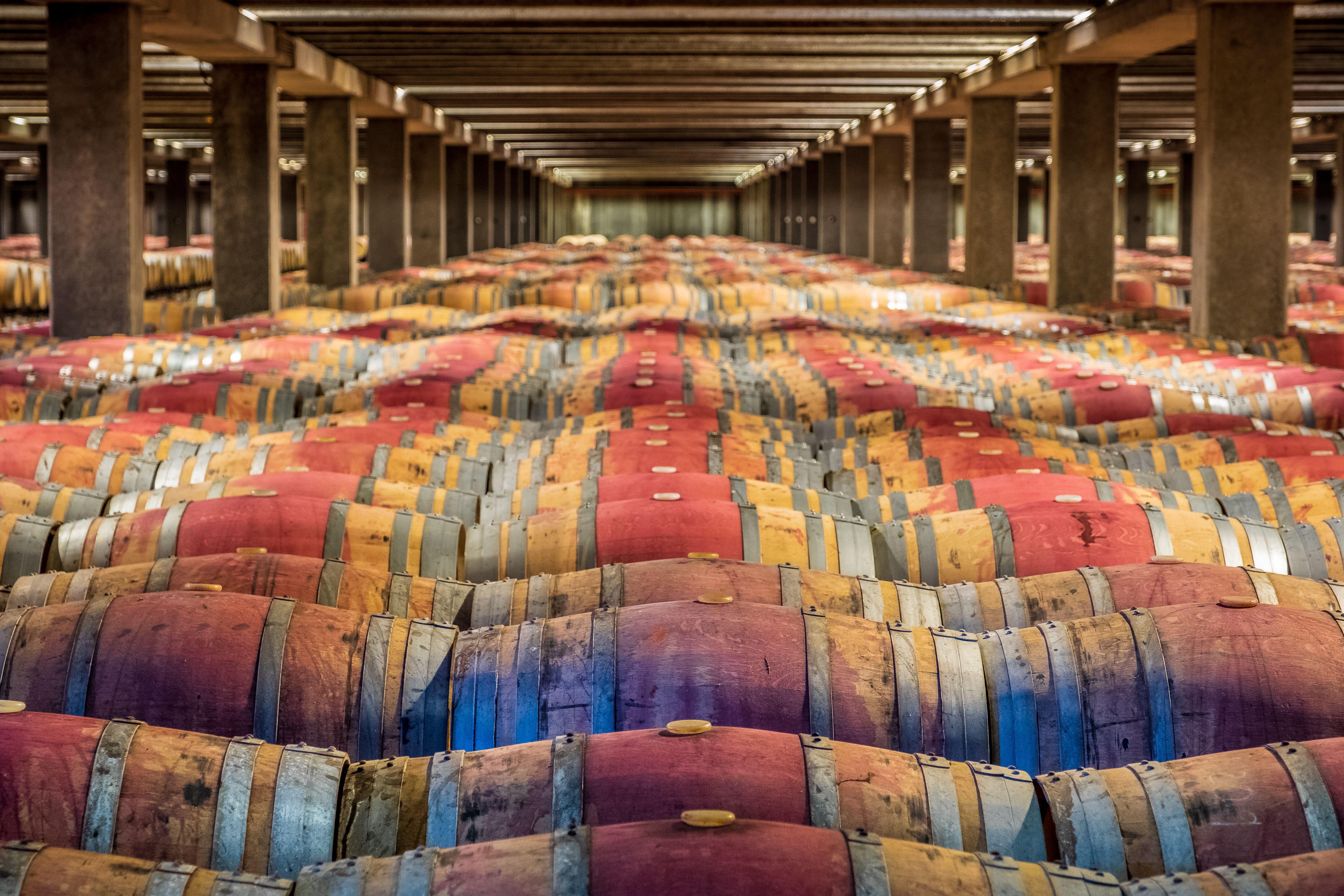 Rows of wine barrels in a cellar.