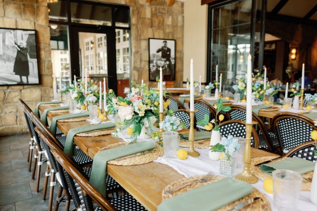 Terralina And Paddlefish