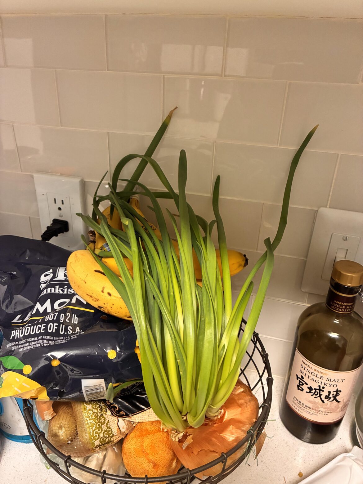 What can I do with this?