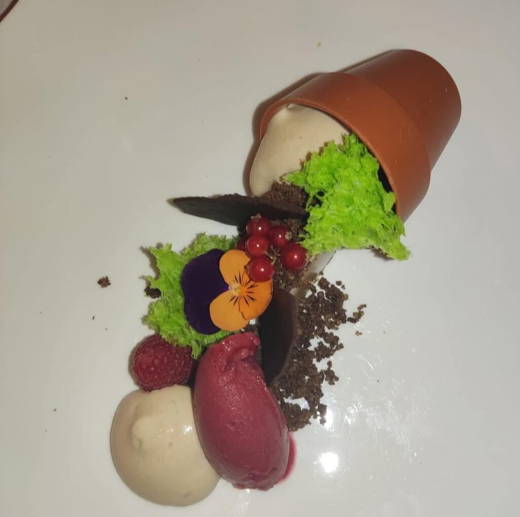 ​[I ate] A "GARDENING ACCIDENT" for dessert. The pot is 100% chocolate! Found this in Trentino, Italy. 🇩🇪🇮🇹🪴🥄