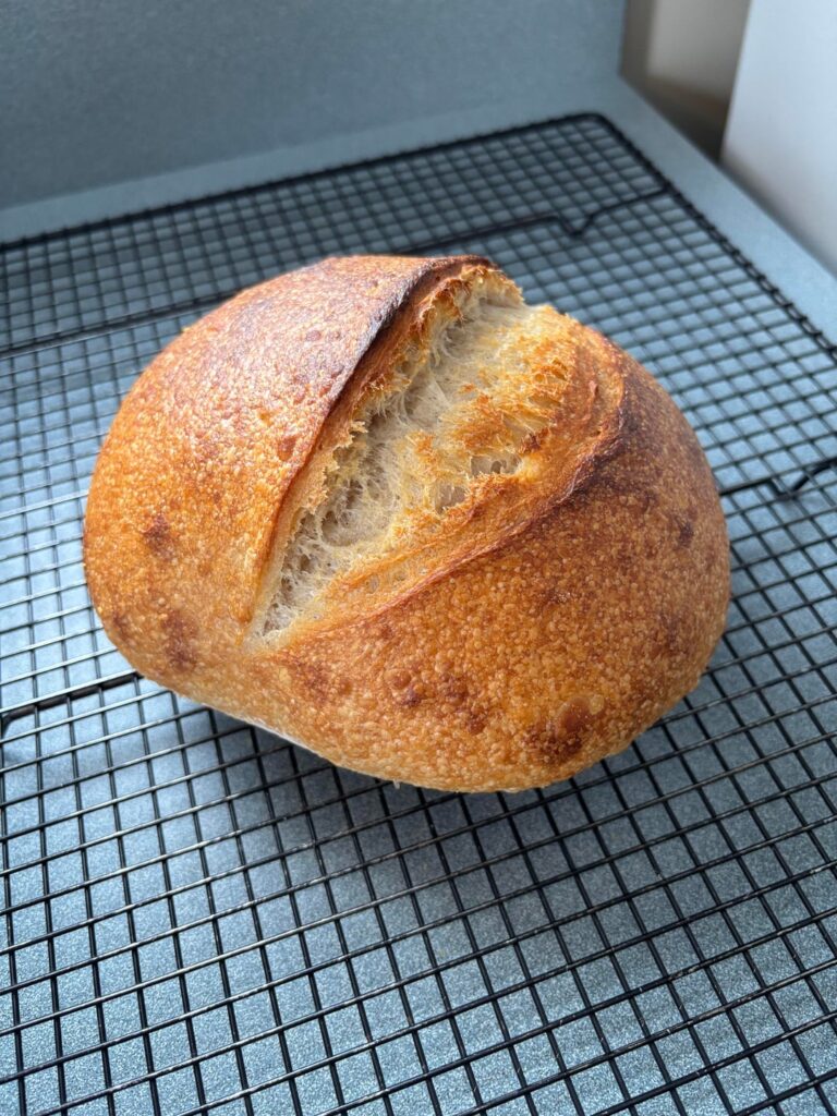 First Sourdough Loaf First Sourdough Loaf