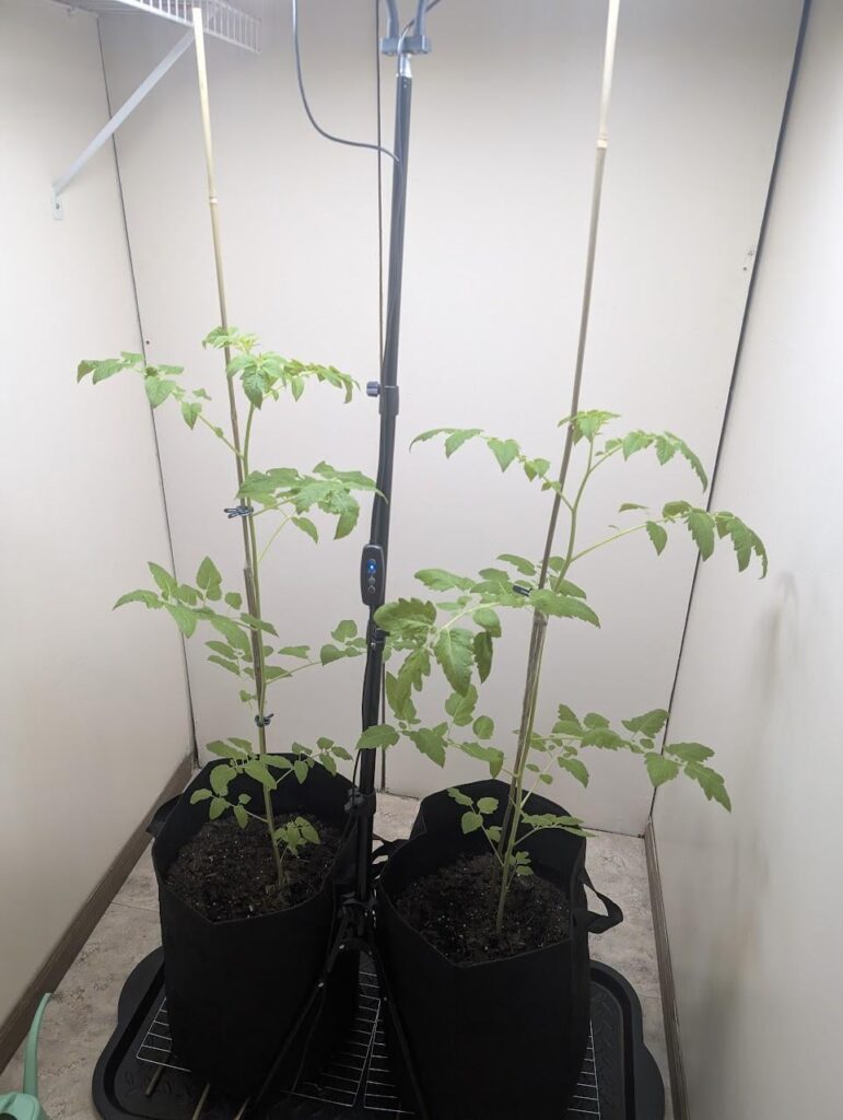 Might have bit off more than I can chew, seeking advice