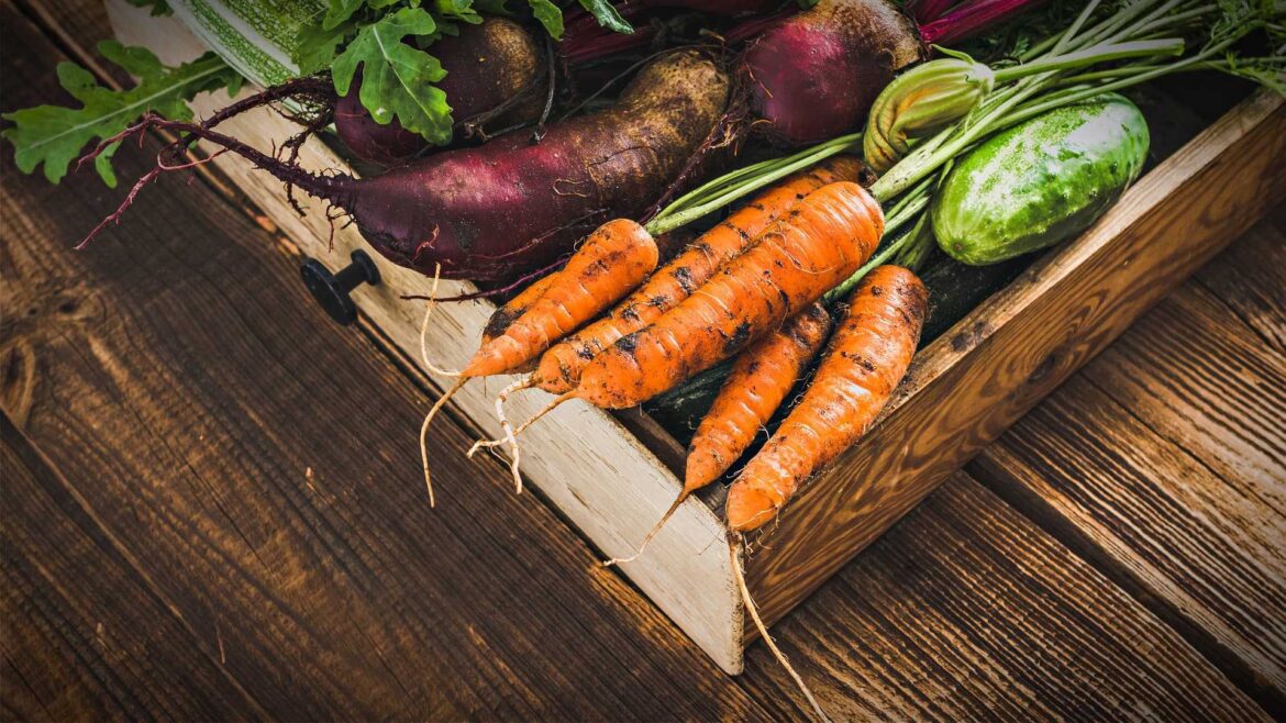 Mediterranean Diet Again Named Best Overall