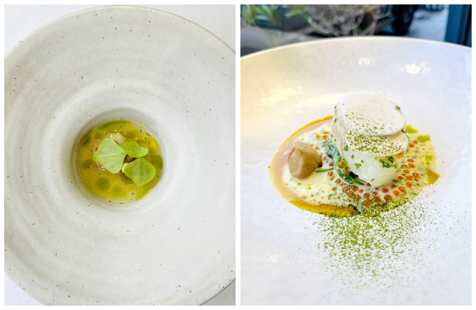 John Wyer's excellently balanced scallop and cod dishes, which showcased superb natural flavours. © Sandy Wyer/Forest Avenue