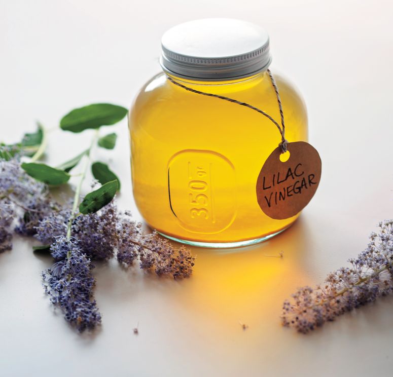 Jar of lilac vinegar recipe with lilacs resting on a table.