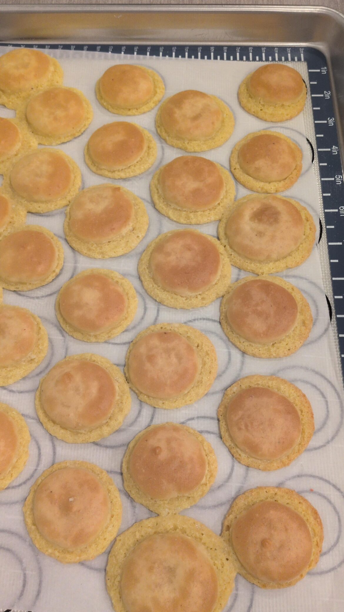 Does anyone know where I went wrong with these macarons?