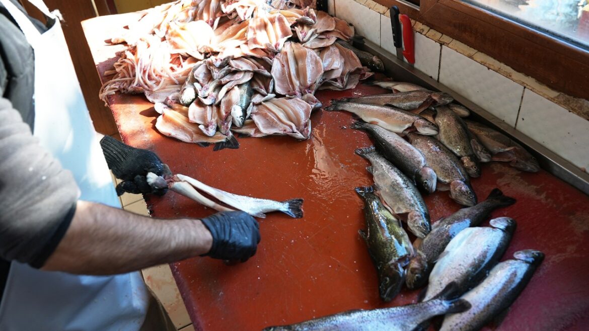 Syrian Style Seafood  | Syrian Street Food