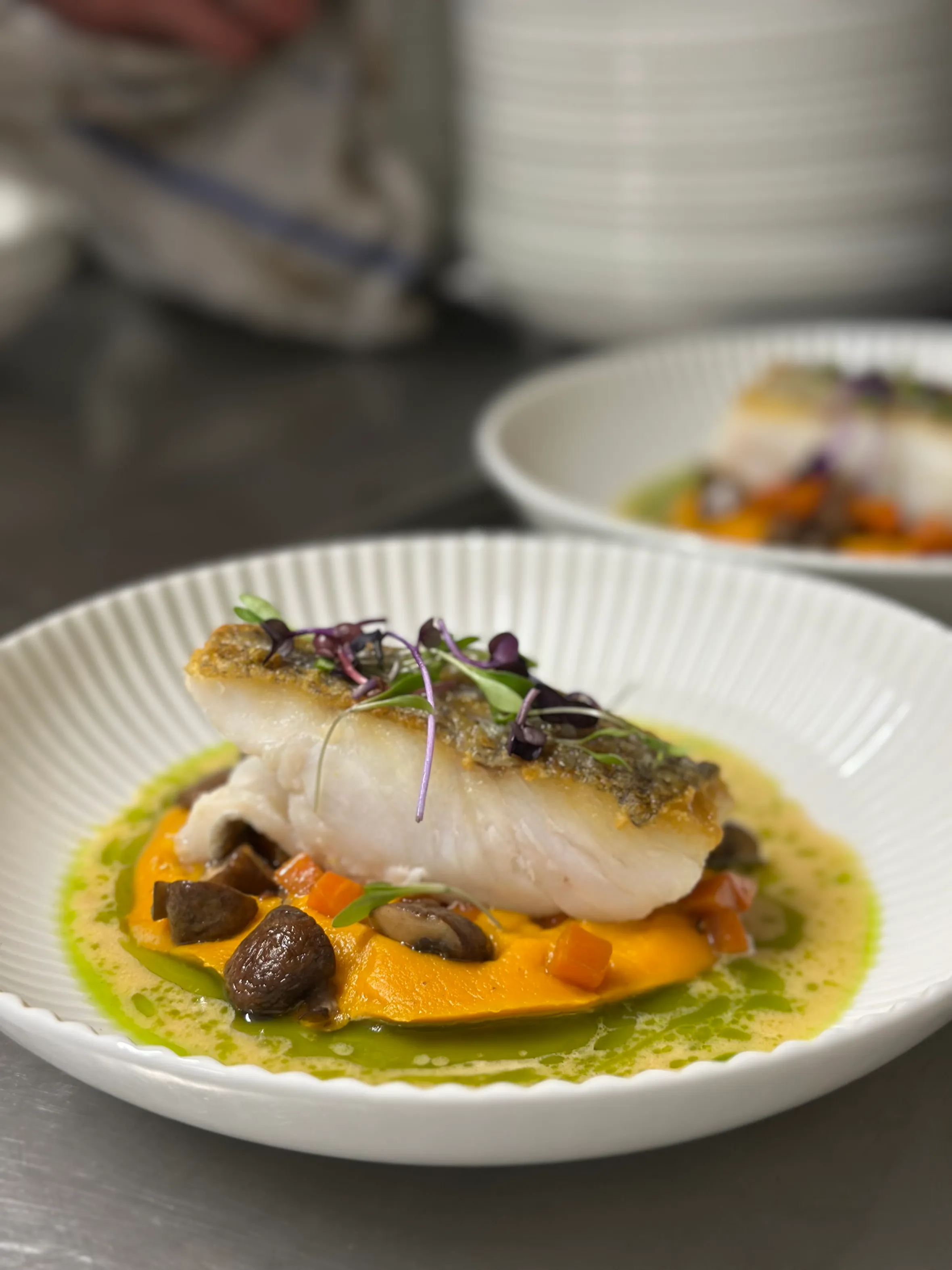 Pan-seared fish on a bed of pureed carrots and mushrooms, with a green sauce.