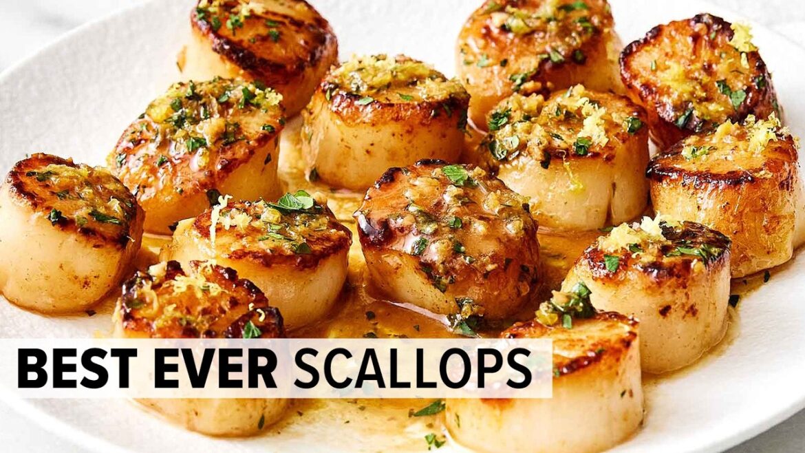 BEST SCALLOPS RECIPE with Lemon Garlic Butter Sauce!