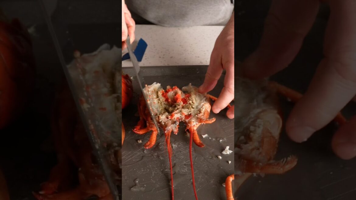 Aldi Lobster → Lobster Bisque #seafood #lobster #aldi