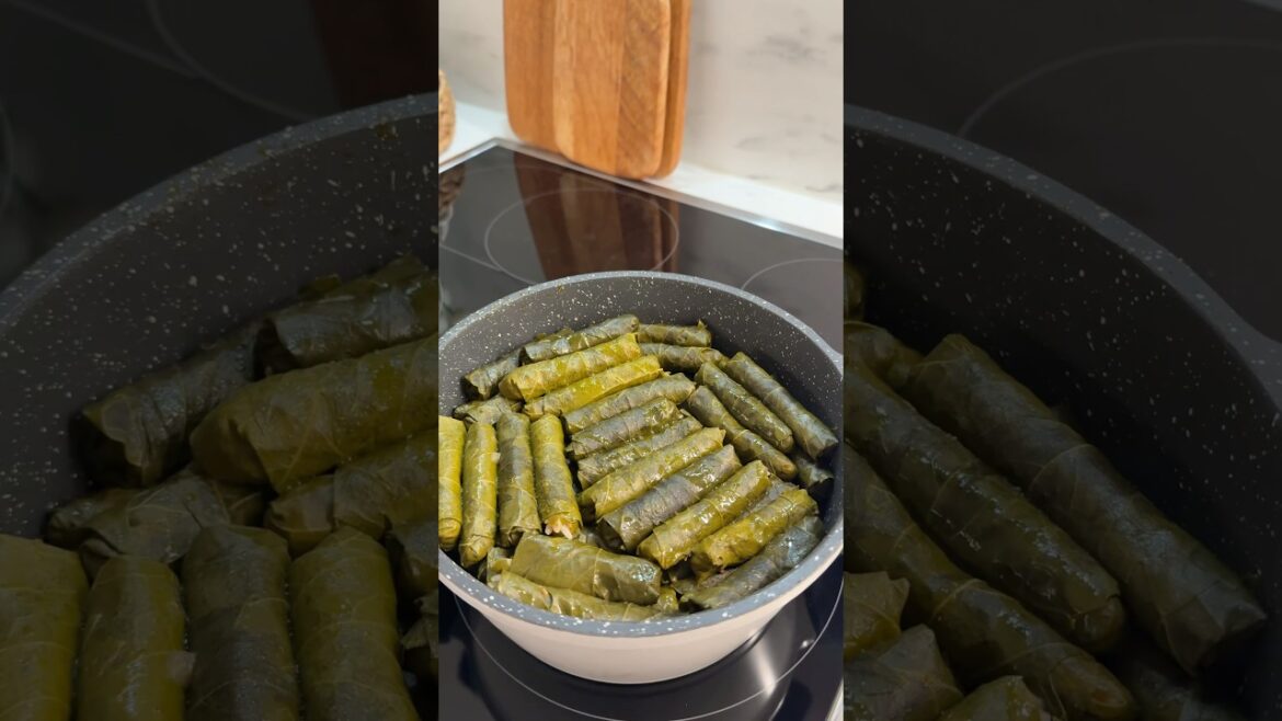 Etli yaprak sarması | Stuffed grape leaves | Gefüllte Weinblätter #shorts #ytshorts