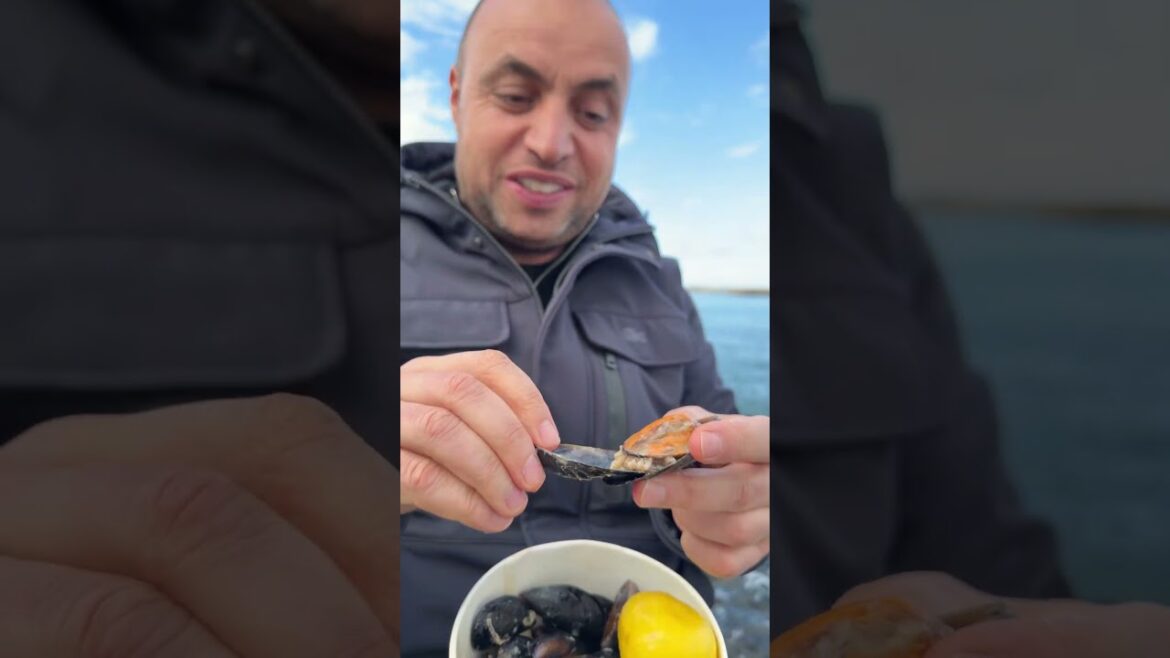 A Masterclass in Street Food: The Perfect Stuffed Sea Mussel