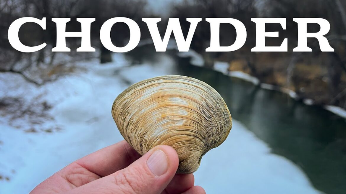 New England Clam Chowder: Food That Survived Time