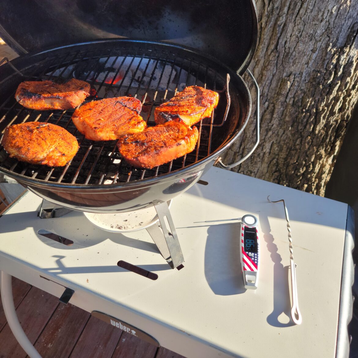 Weather here in Texas is perfect for grilling today