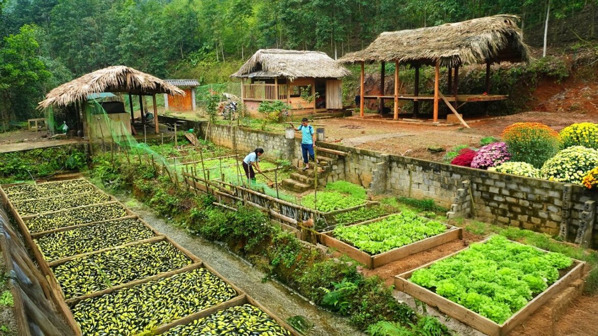 Take care of the vegetable garden, welcome the new year 2026, life in the forest DK. Take care of the vegetable garden, welcome the new year 2026, life in the forest DK.