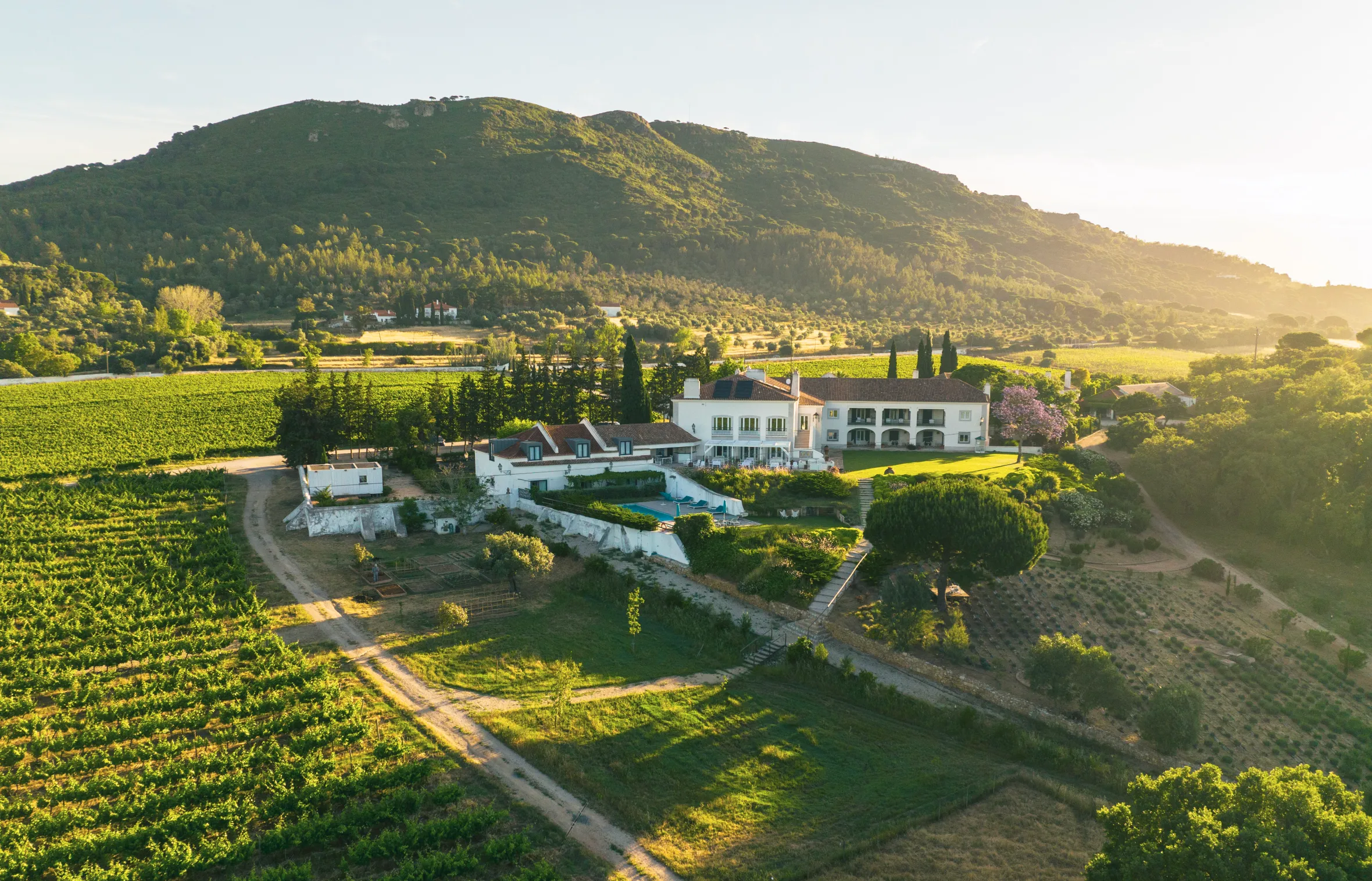 Aerial view of Casa Palmela in Arrabida, Portugal.