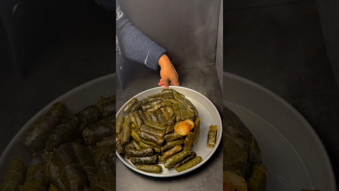 Dolma Stuffed grape leaves #dolma #egyptianfood #ramdanfood