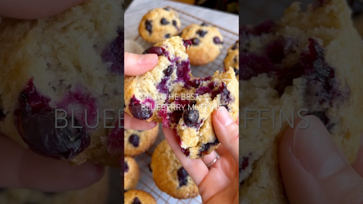 The BEST Blueberry Muffins!