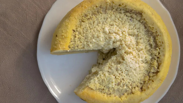 Casu Marzu on a plate